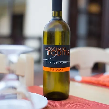 ホテル メテオラ アット カストラキ 4*